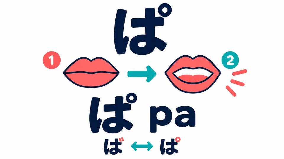 Um ぱ zu sprechen, schließe beide Lippen und öffne sie dann plötzlich. Vergleiche die Laute von ば und ぱ.