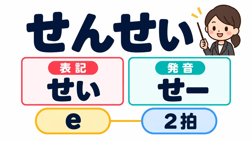 先生는 せんせい로 써요. 자연스러운 발음에서는 「せい」를 せー처럼 읽어 え 소리를 늘이는 경우가 많아요.