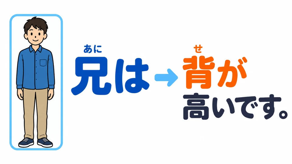 「兄は」先提出哥哥這個話題，接下來才說明哥哥有什麼特徵。