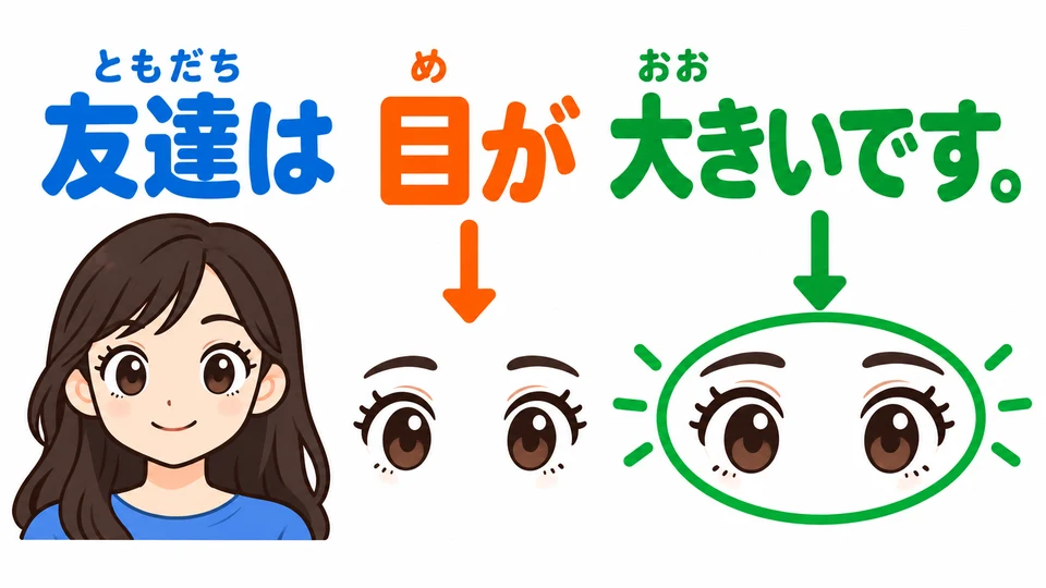 「が」前說的是哪個方面，後面的形容詞就說明那一方面的特點。