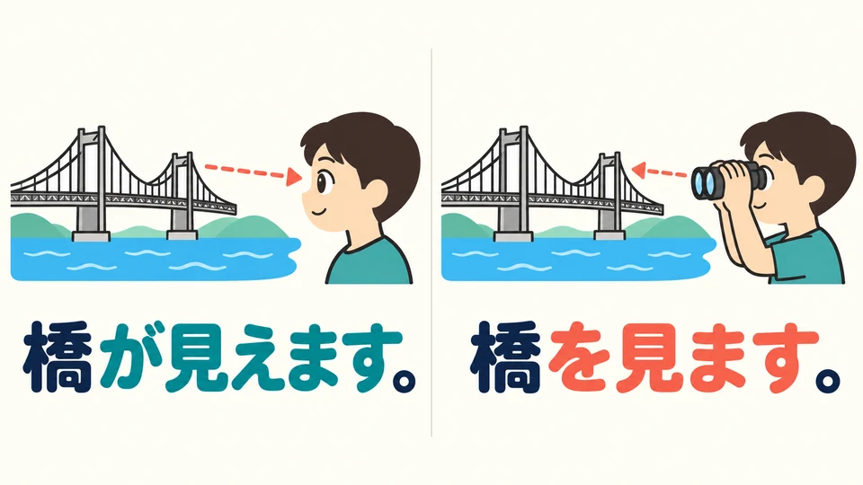 The bridge example says a bridge is visible in front of you. 「橋を見ます」 describes deliberately looking at the bridge.