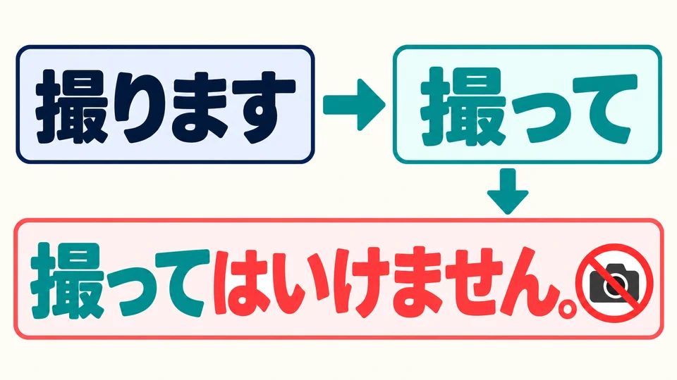 Im Beispiel ist 「撮って」 die て-Form von 「撮ります」. Daran wird direkt 「はいけません」 angehängt.