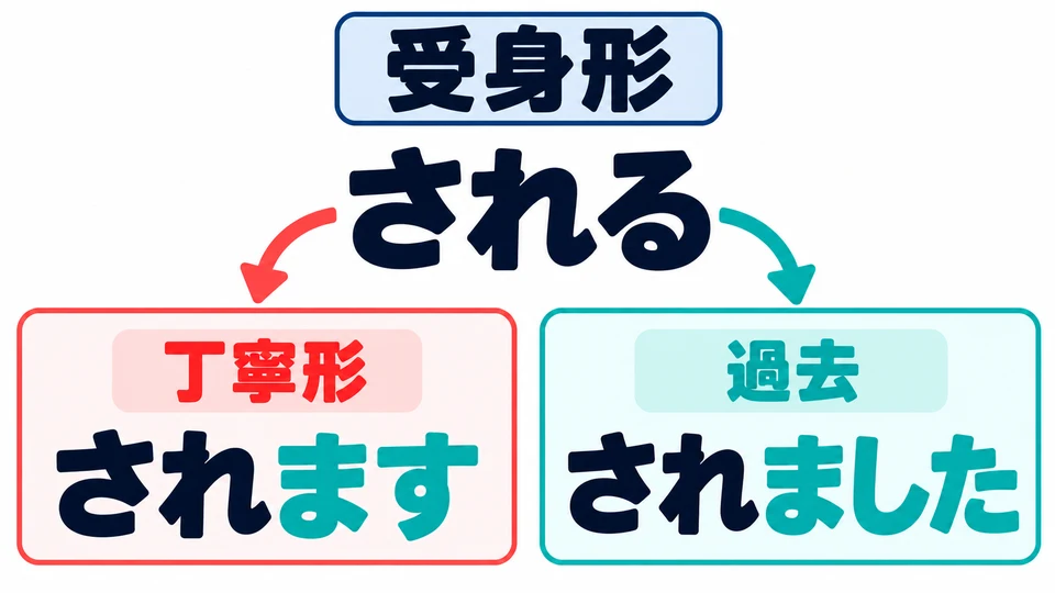 The passive form also has a polite form: される→されます. Its past form is されました.
