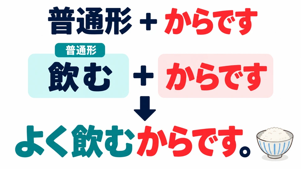 Klausa alasan memakai bentuk biasa sebelum 「からです」, seperti 「飲むからです」 pada gambar.