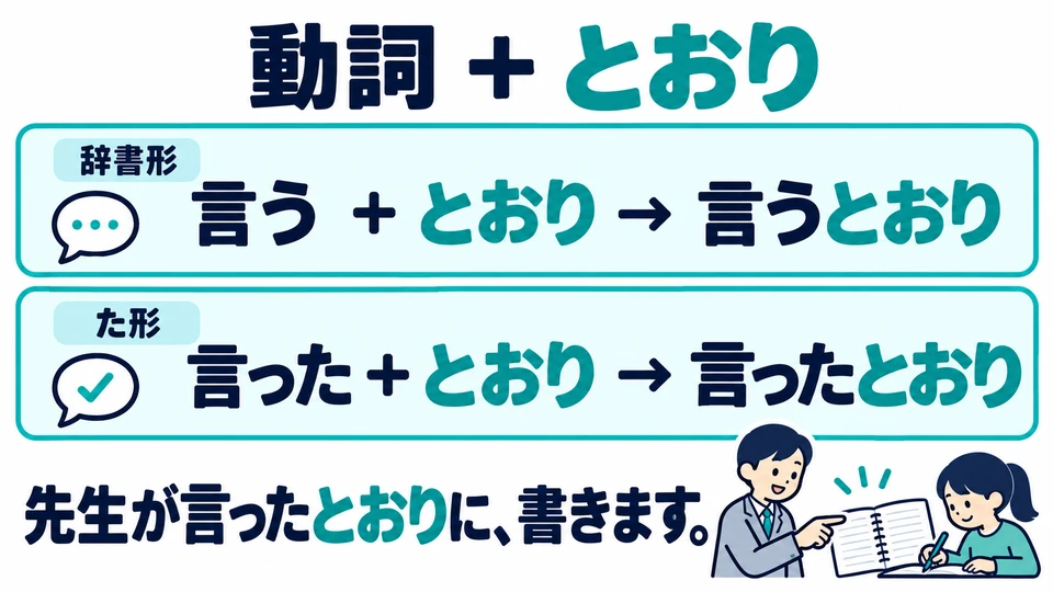 동사의 사전형이나 과거형에 「とおり」를 붙여요. 예: 「言うとおり」, 「言ったとおり」.