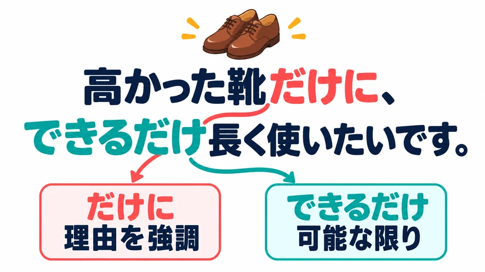 In the shoe example, 「だけに」 emphasizes the reason; 「できるだけ」 means “as much as possible”. The two uses of 「だけ」 have different roles.
